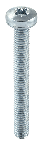 WWM - Śruba metryczna z łbem walcowym wypukłym z gniazdem PZ